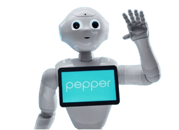 PEPPER Robot
