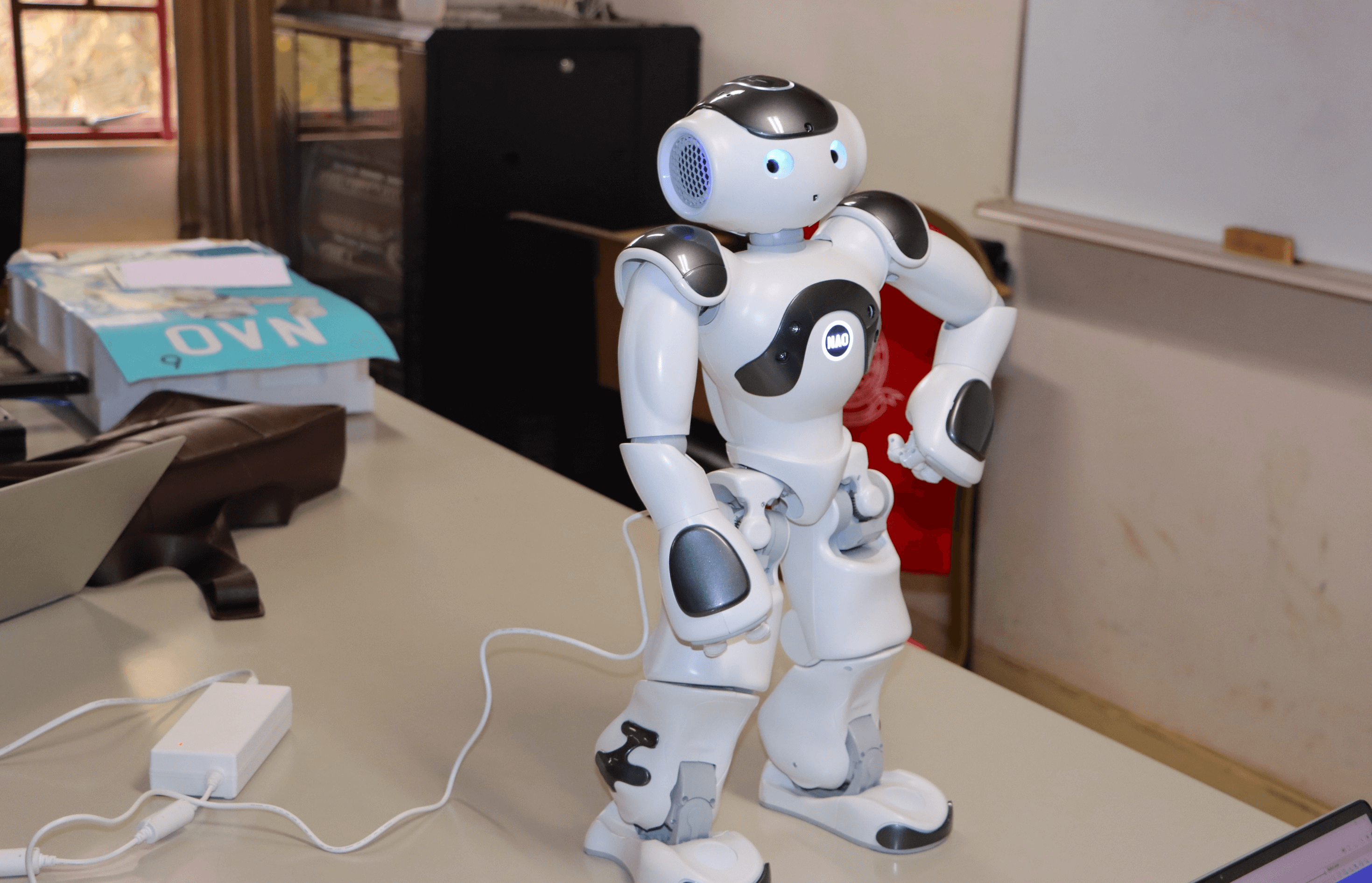 SOCIALLY ASSISTIVE ROBOTS